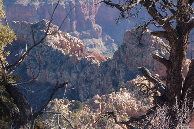 from Grandview Point